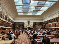 A large old looking library with high walls and a windowed ceiling