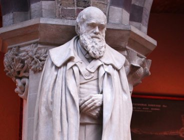 Charles Darwin statue in the Museum of Natural History, Parks Road, Oxford.