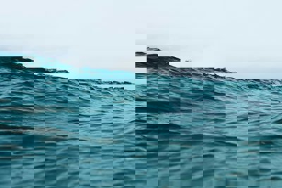 Ocean