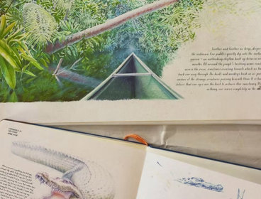 Nature sketchbook and drawings.