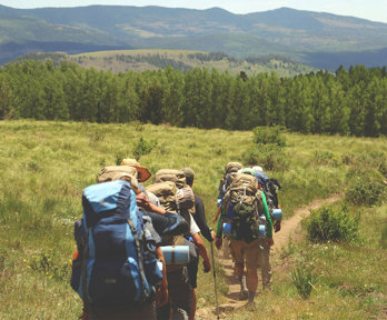 Backpackers seen from behind walking on a dirt trail between green grass background of tree.