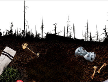 Rubbish buried under ground, with tree dying above.