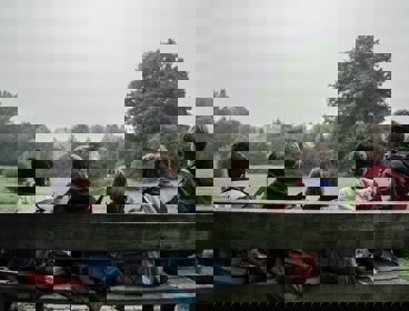 A gorup of children sitting on a bench looking at a field with trees