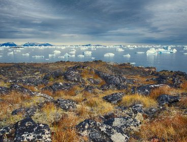 Greenland landscape with water and ice in background.