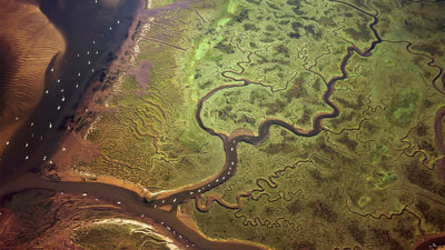 Aerial view of braided river system.