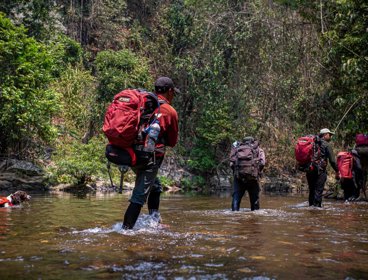 Group trekking in water.