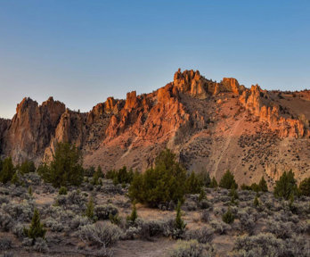 An arid landscape with tall, jagged rock formations. There are low shrubs and trees surrounding the foot of the formation.