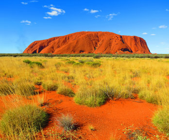 Bright colours define Uluru, with orange soil in the foreground scattered with green grass clumps, and a bright blue sky with a few small clouds. Uluru stand in the distance and is bright orange in colour.