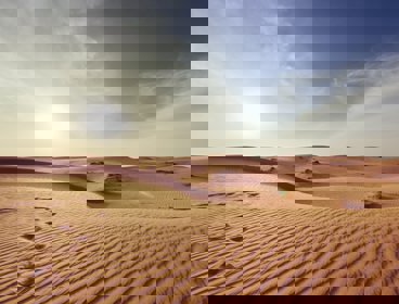 sand dunes in a hot desert
