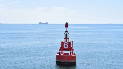 A red and white buoy showing the number 6, floating in the sea. A large cointainer ship is sailing on the horizon.