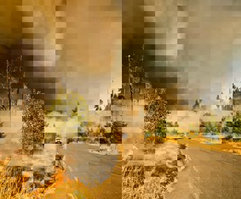 Car driving near forest fire