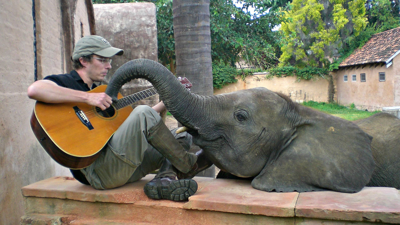 Clive playing a guitar with an elephant