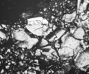 Black and white photograph of melting sea ice as seen from above.