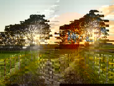 A dirt track in the countryside, the sun is low in the sky and buildings can be seen in the distance