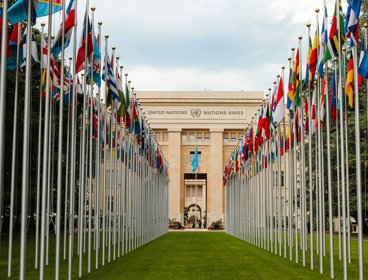Flag posts with flags lined up on a grass lawn outside a United Nations building.