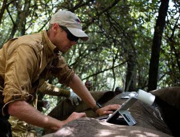 Jake Wall collaring an elephant.