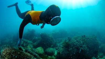 A freediver explores the seabed.