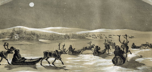 Black and white illustration of reindeer and men in Lapland .