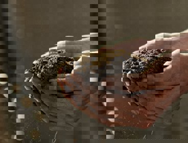 Hands holding a pile of soil