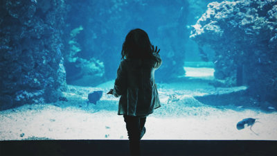 A young person with their hand up against the glass of a large aquarium.