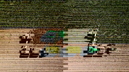 Corn harvest in a field as seen from above.