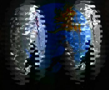 A person sitting and looking through a round aquarium window