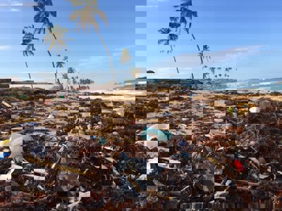 A beach scene with sand and palm trees, covered in plastic rubbish and old fishing nets