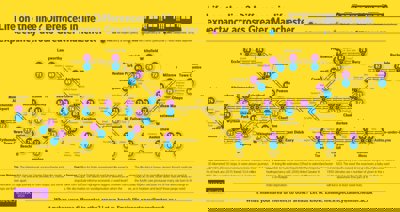 Differences in life expectancy across Greater Manchester shown on train map