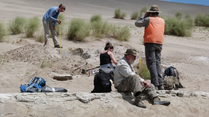 Four researchers taking measurements on a sand dune, surrounded by tools. One researcher is holding a measuring tape over a hole and another is standing and looking in the direction of the tape measure. The other two researchers are sat on the ground.