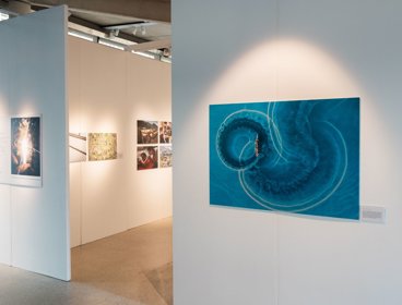 Earth Photo exhibition of photography.