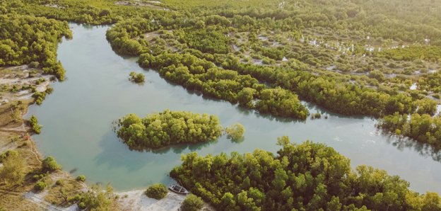 Aerial view of green areas and meandering river