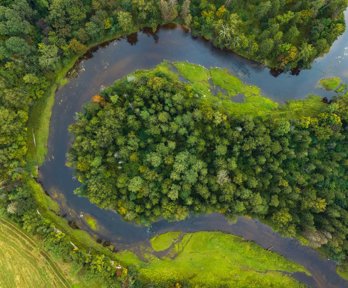 A river meander viewed from above surrounded by trees.