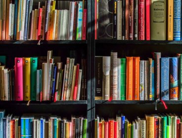 Books stacked on three vertical book shelves.