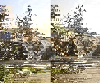 Trees and a building blown over during a typhoon in the Phillipines