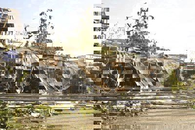 Trees and a building blown over during a typhoon in the Phillipines