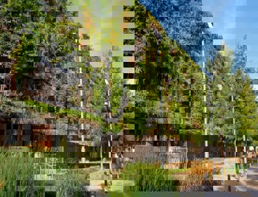 A wooden four story building in a urban area is covered in vegetation with only the windows and wood of the bottom floor visible. Tree and bushes dot the pavement in between the road and the building.