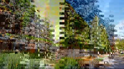 A wooden four story building in a urban area is covered in vegetation with only the windows and wood of the bottom floor visible. Tree and bushes dot the pavement in between the road and the building.