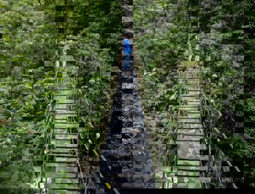 A man standing on a rope bridge in the jungle