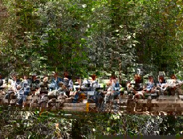 An expedition team sit on a fallen tree acting as a bridge across a tropical forest gorge in Borneo.