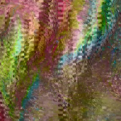 Ariel remote sensing image of mountains