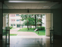 A university campus with open doors leading out to a garden.