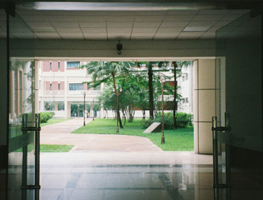 A university campus with open doors leading out to a garden.
