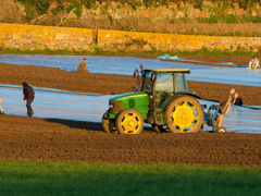 People working in a plowed field with tractor
