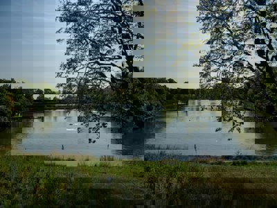 Hampstead Heath Ponds